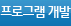 프로그램 개발