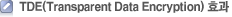 TDE(Transparent Data Encryption) 효과