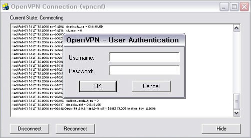 OpenVPN 접속 화면