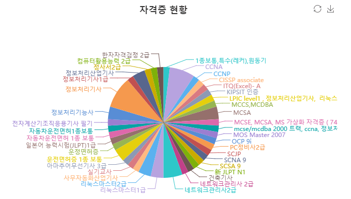 자격증 현황 그래프